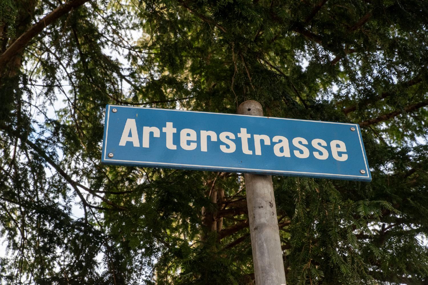 A blue "Arterstrasse" sign on a metallic pole with foliage behind it
