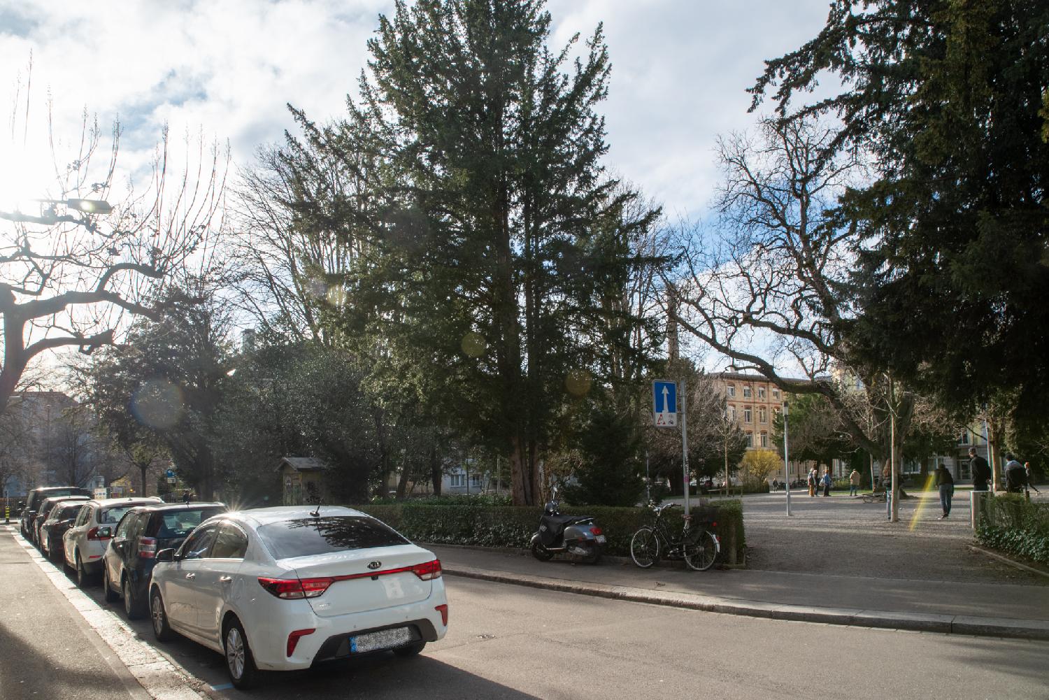 A park with people playing pétanque. There's a street with a row of cars in the foreground.