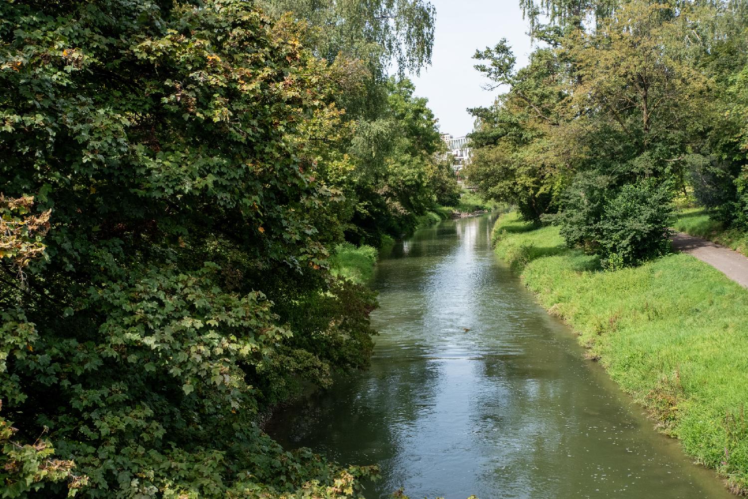 A river with trees on both banks and a path on the right bank.