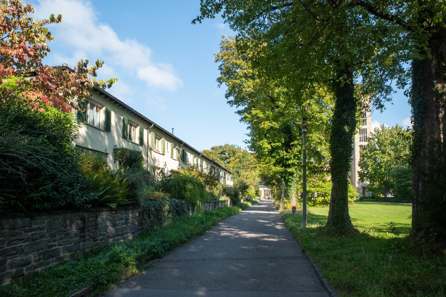 A small alley with two-storey residential buildings on the left and grass and trees on the right. A church tower is visible in the background.