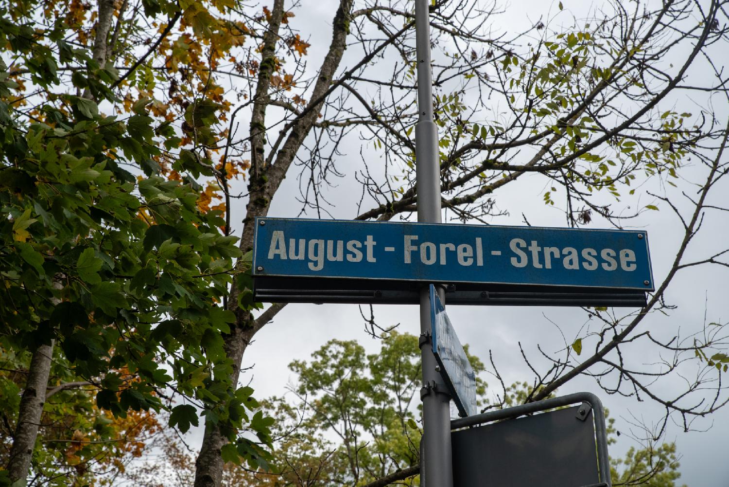 A blue August-Forel-Strasse sign on a metallic pole in front of trees
