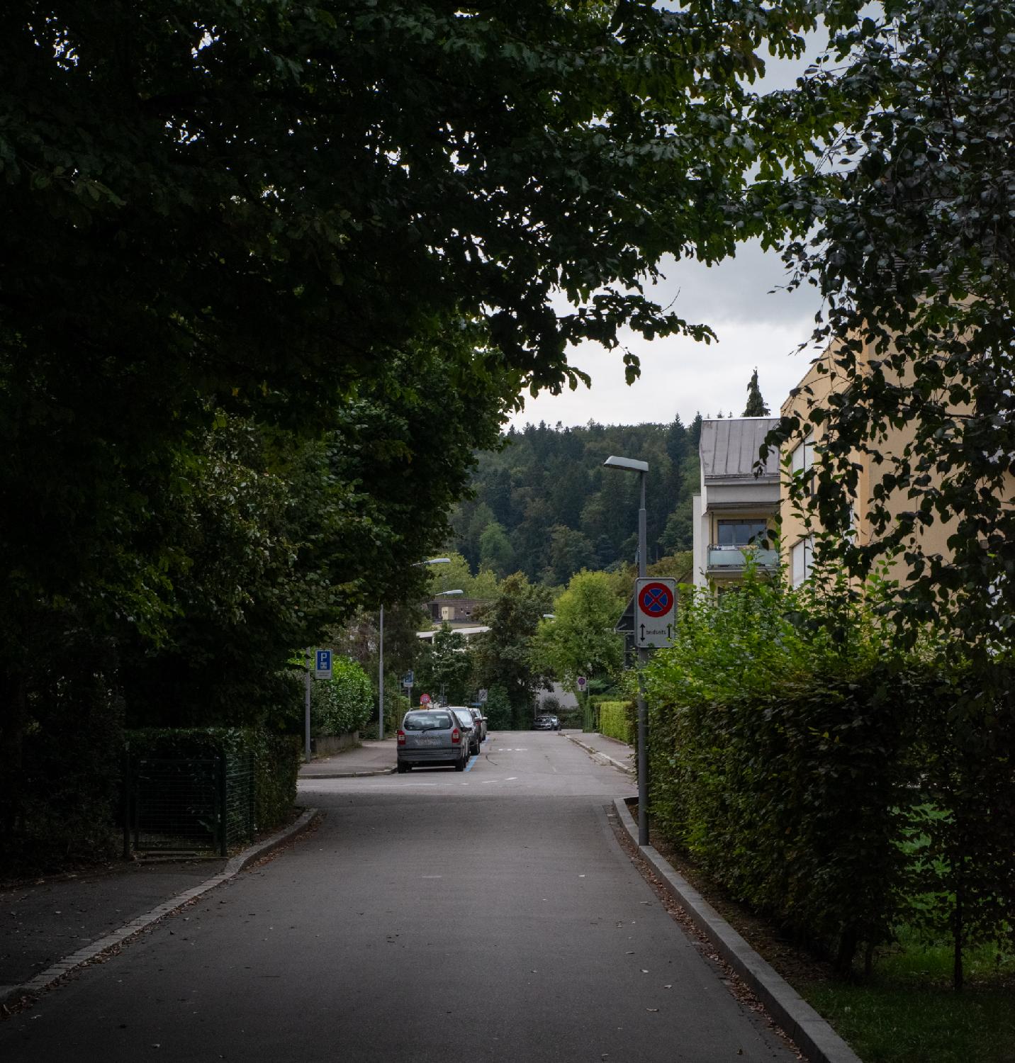 A residential street with hedges on both sides, cars on the left side, 3-storey buildings on the right side, and a hill with a forest visible in the background