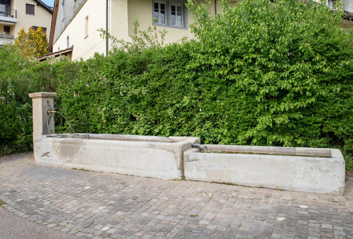 A drinking fountain with a tap on a low pillar and two elongated basins, in front of a hedge and on a paved ground.