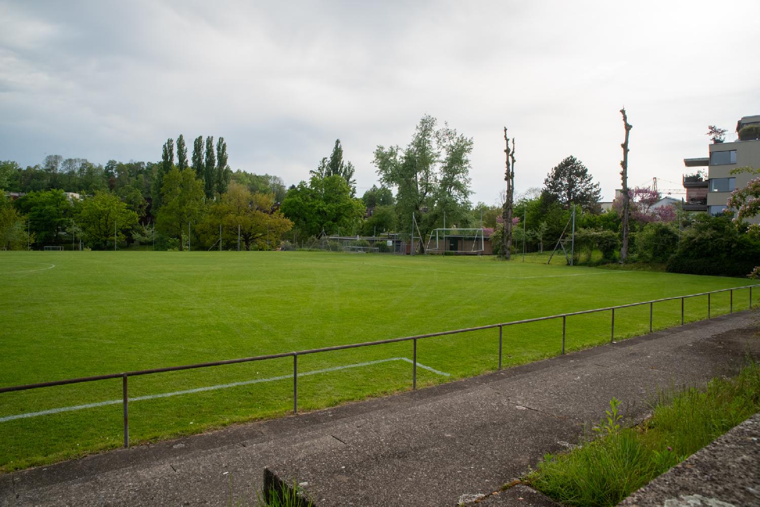 An empty green sports lawn with metallic rails