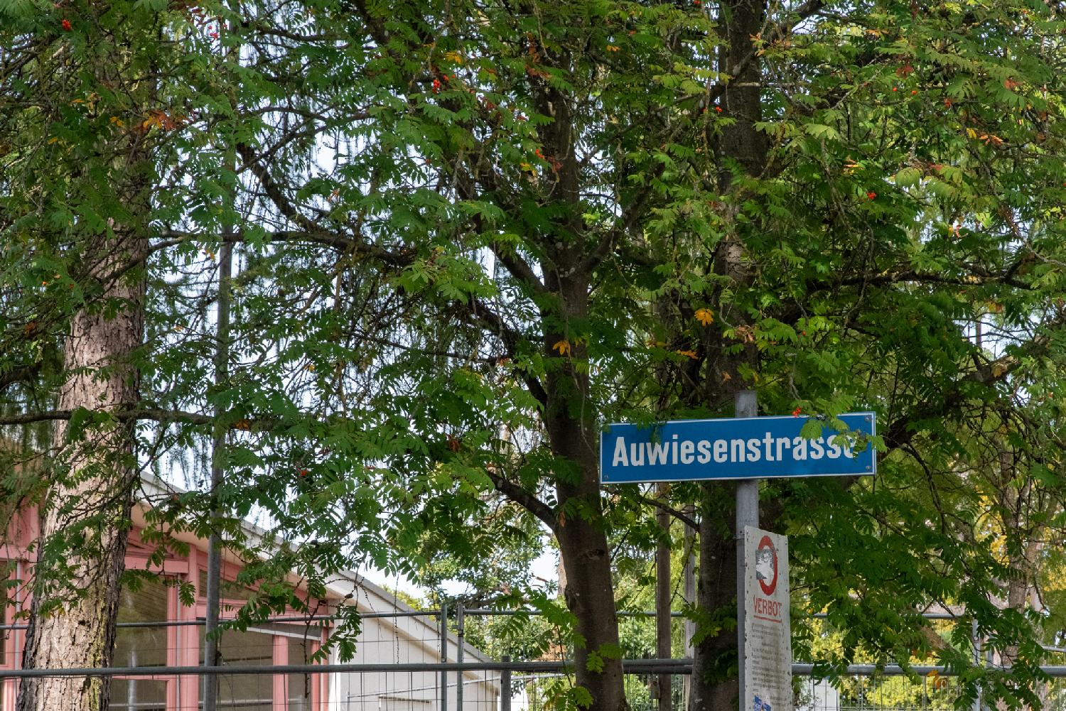 A blue "Auwiesenstrasse" sign in front of trees and a white and pink building in the background