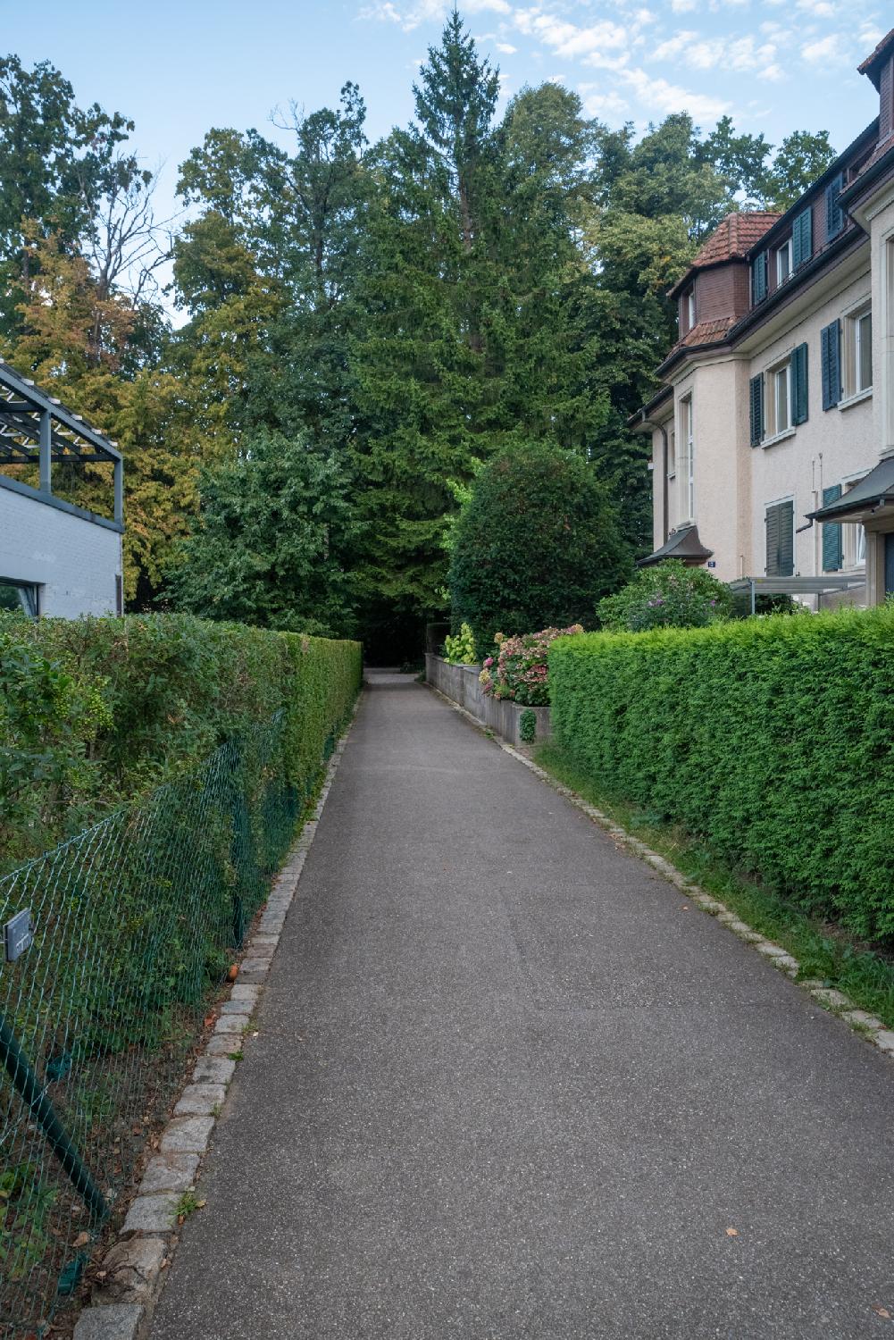 A narrow pedestrian path with green hedges on both sides, a three-story residential building on the right side, and trees in the background
