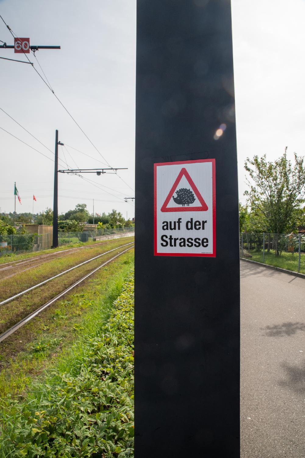 On the left, a tram line going through grass. On the right, a road. In the middle, a pole with a sticker "beware the hedgehogs" (with a hedgehog symbol in a red triangle)