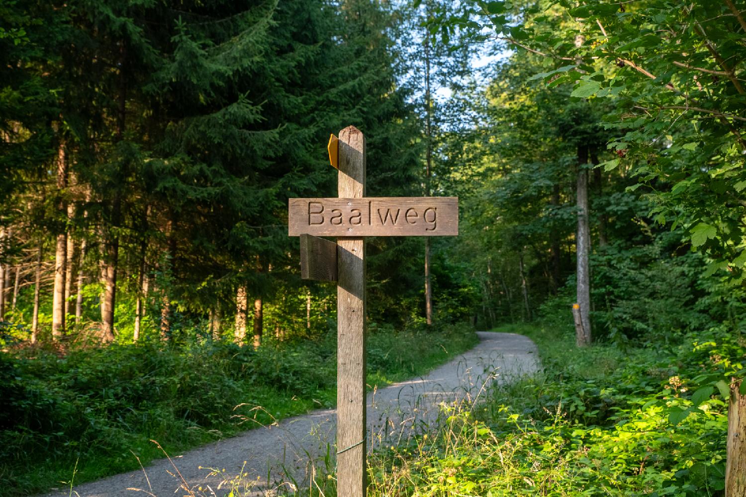A wooden sign for Baalweg, at the intersection of two gravel paths in a forest