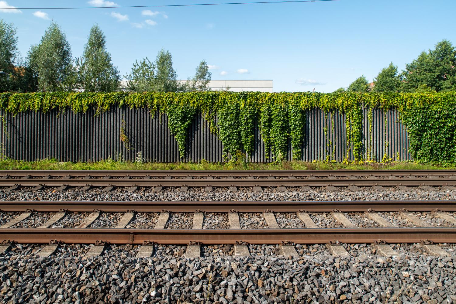 Two railway tracks with ballast and a concrete wall on which ivy is growing behind them