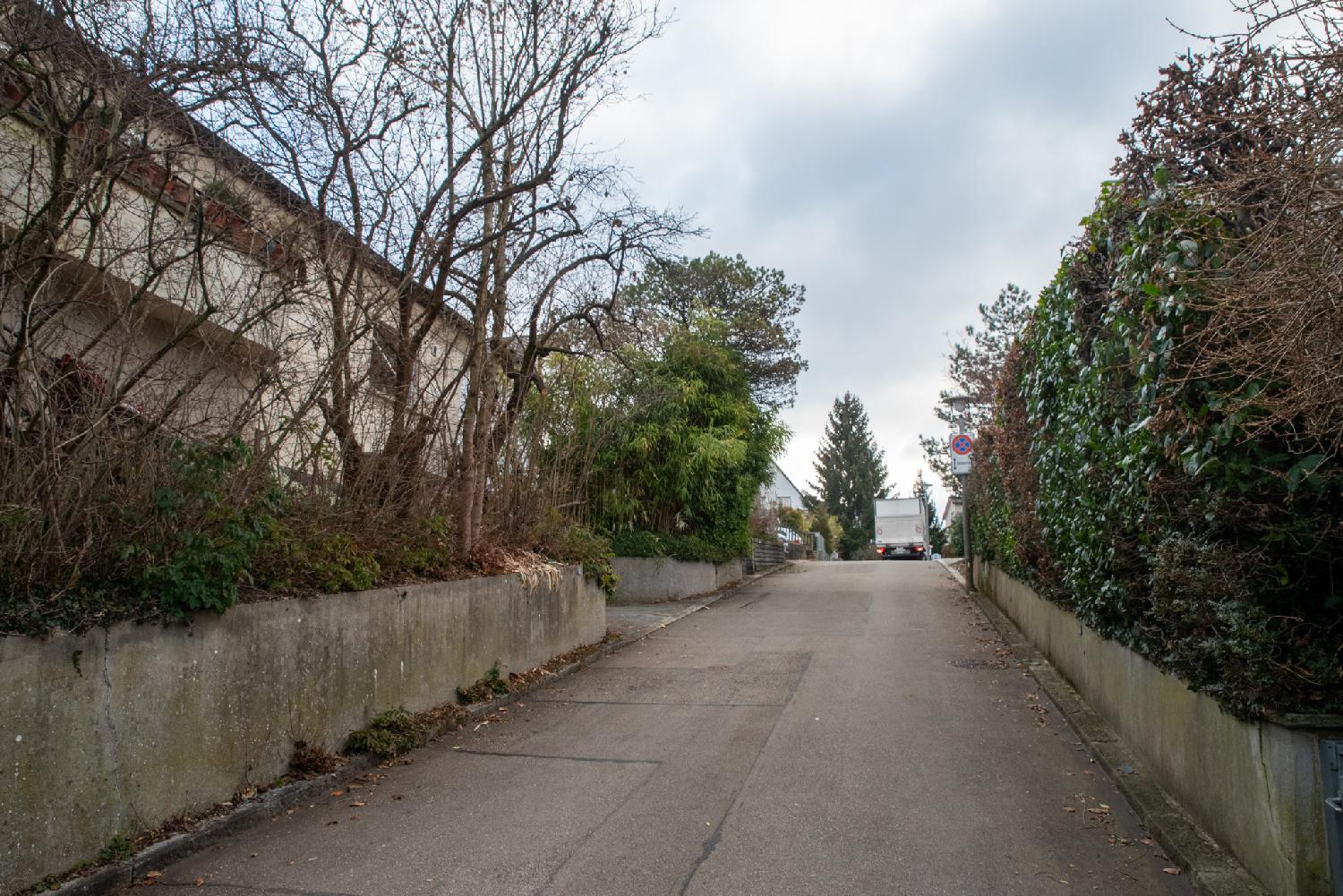A narrow street with low houses and hedges ont top of low-height walls. The vegetation doesn't have leaves. There's the back of a truck at the end of the street.