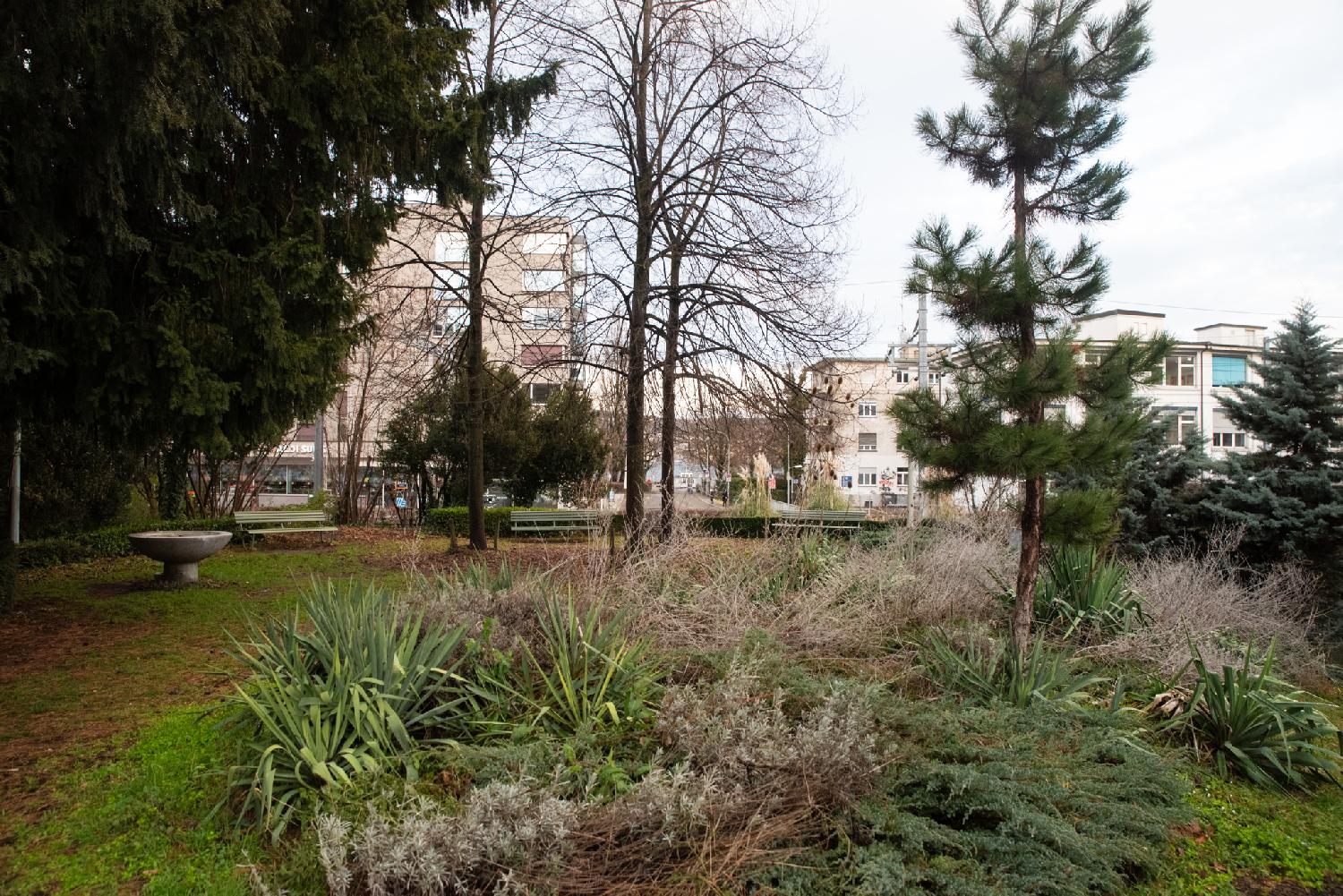 A small urban park with three benches and a fountain, with trees and grass, with buildings and a hint of the Zürich lake in the background