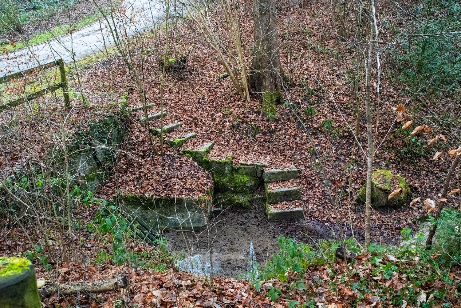 A small pond stopped by a metallic grid; some tiny stairs with a lot of moss and dried leaves on top of them are reaching the water.