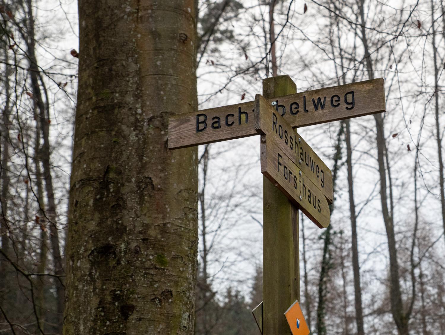 A wooden pole with wooden signs indicating Bachtobelweg (partly hidden by the other signs), Rosshauweg and Forsthaus. A yellow diamond with the Zürich blue and white flag indicates a hiking path.