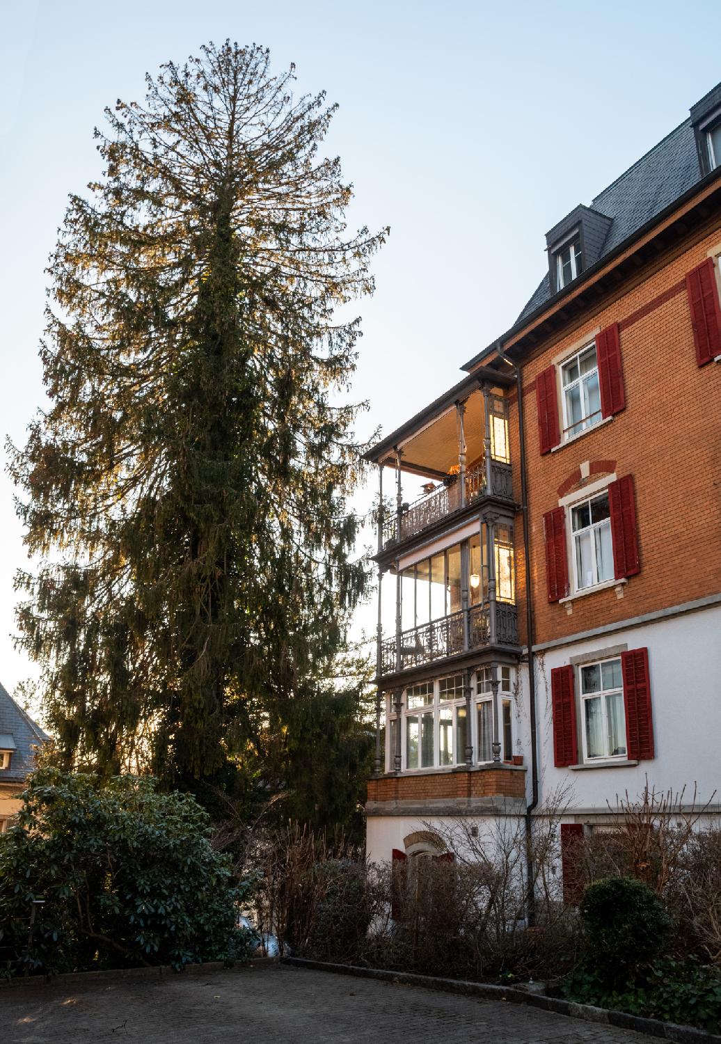 Side façade of a white and brick building with balconies that have ornate metallic grids and glass panes. A large conifer tree is next to the building.