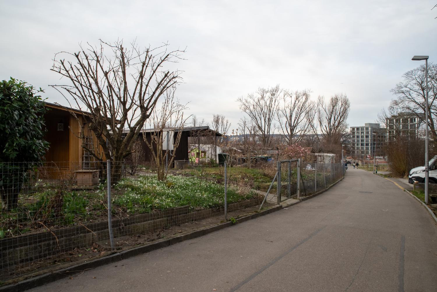 A narrow road/path alongside gardens, with trees and high residential buildings visible in the background