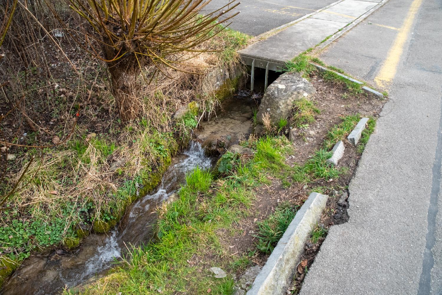 A very narrow stream flowing trough a grid below and next to a road