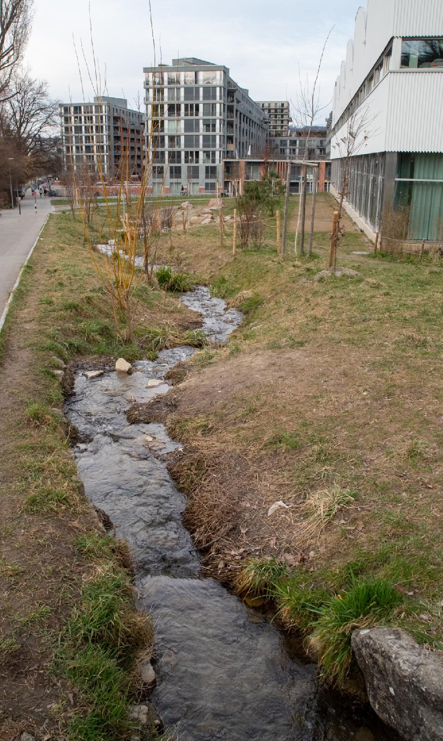 A narrow stream zigzaging in a shallow ditch in a grass area, leading to 7-story residential buildings