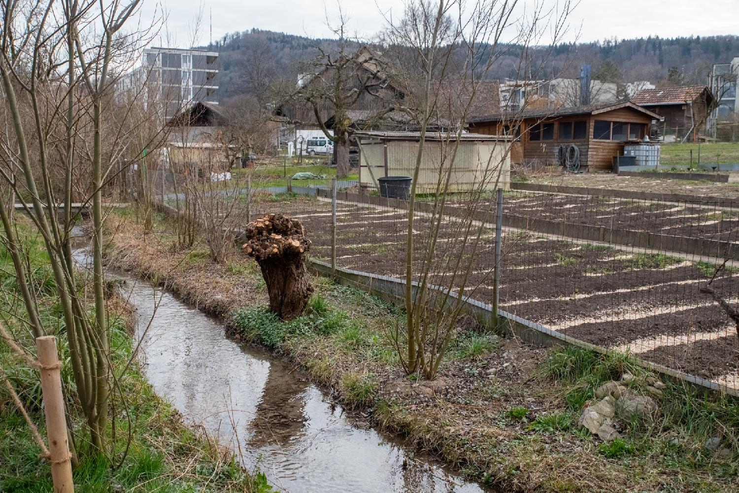 From front to back: a narrow and shallow water stream, a cut-down tree, garden plots, low-rise wooden buildings, a higher-rise building and a hill