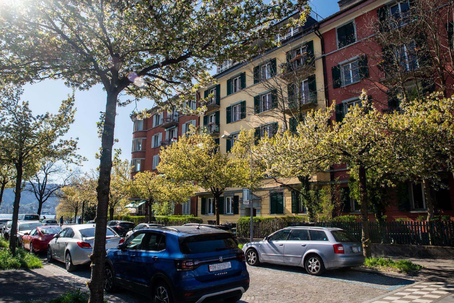 A short street with, on the right side of it, 6-story buildings. The street has young trees and a row of cars parked on each side. The street's end is near a lake.
