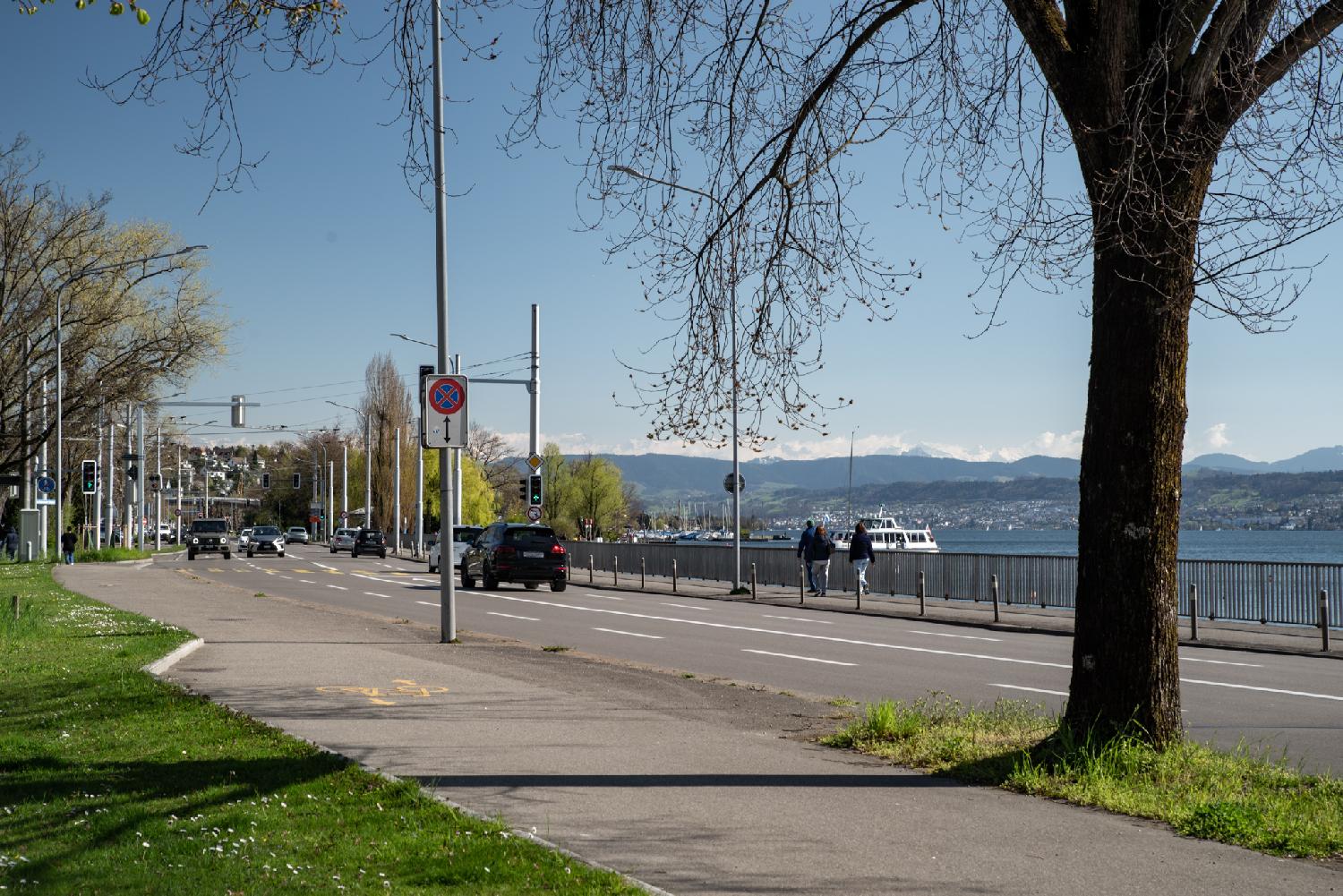 A view over the Zürich lake, next to a 4-lane street. There's a bike path and a tree in the foreground; numerous boats on the lake and mountains in the background.