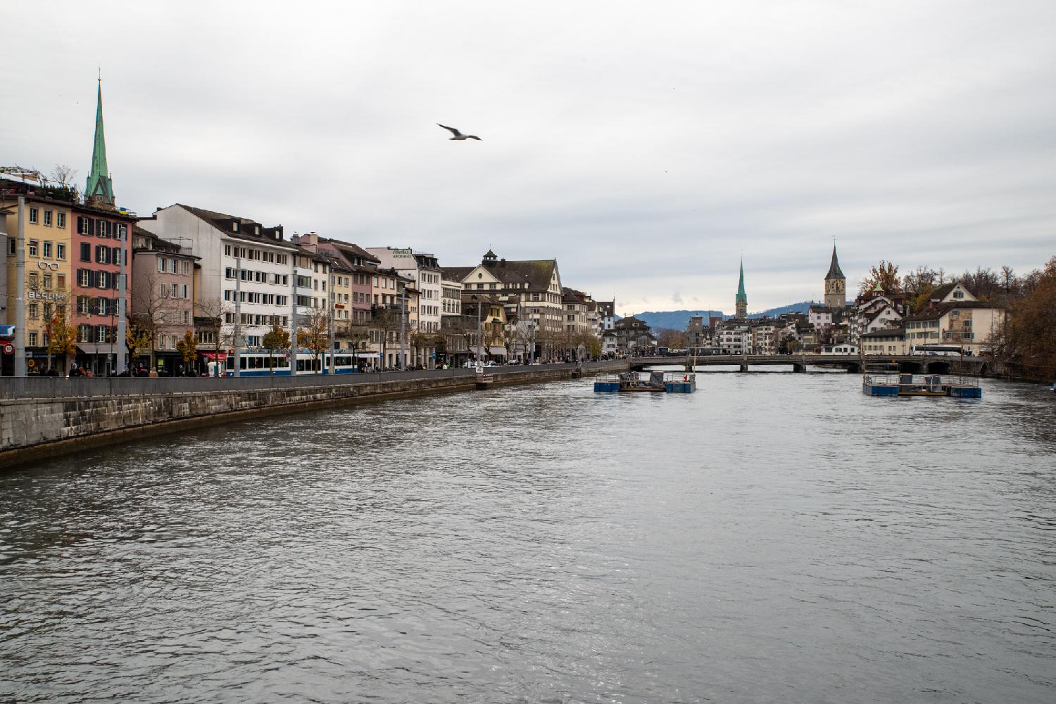 A river, seen from a bridge, with, on the left side, 6-story buildings and a tram passing in front of them, as well as a church tower; on the right bank more buildings and two more church towers; between both banks a stone bridge. There are some darker hills in the background and a seagull in the cloudy sky.