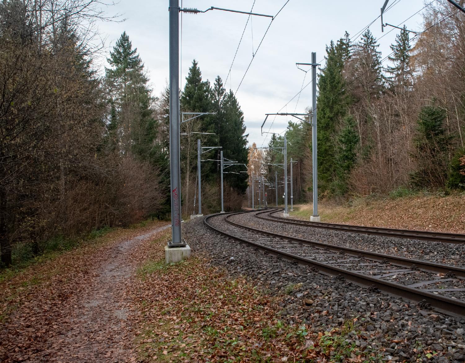 A small path next to a rail track. There are a lot of leaves on the ground and the picture has autumnal colors.