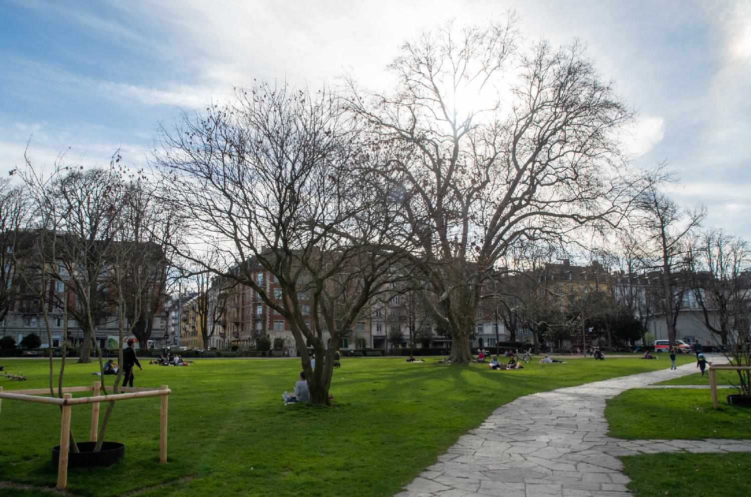 A park with green grass, stone paths and trees. The sky is blue but the trees do not have leaves. A few people are enjoying the park.